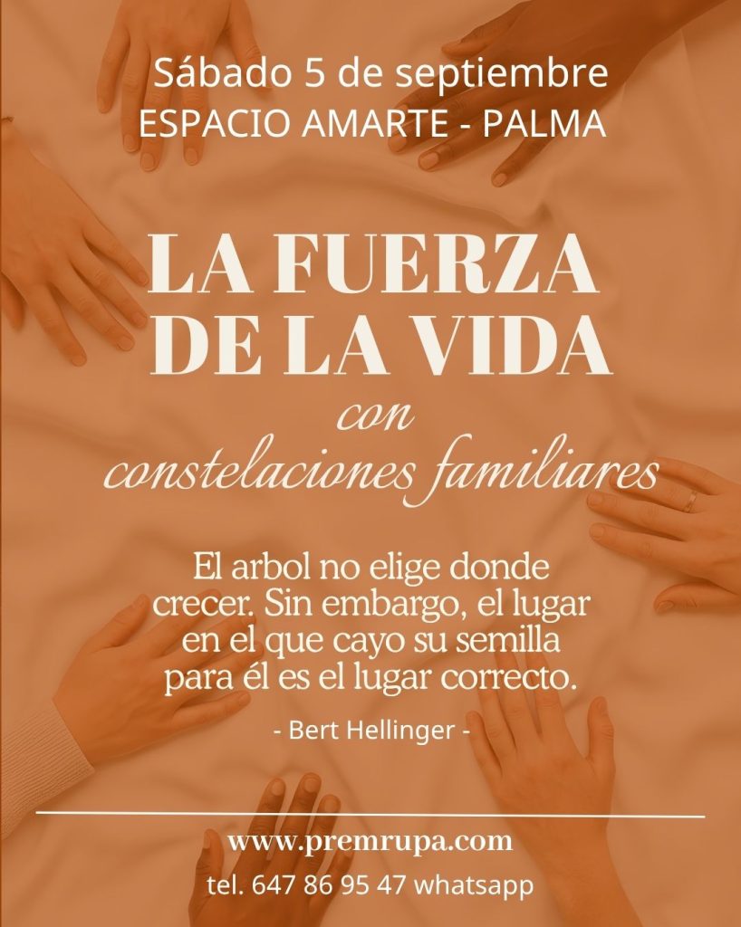 Premrupa Palma Espacio Amarte